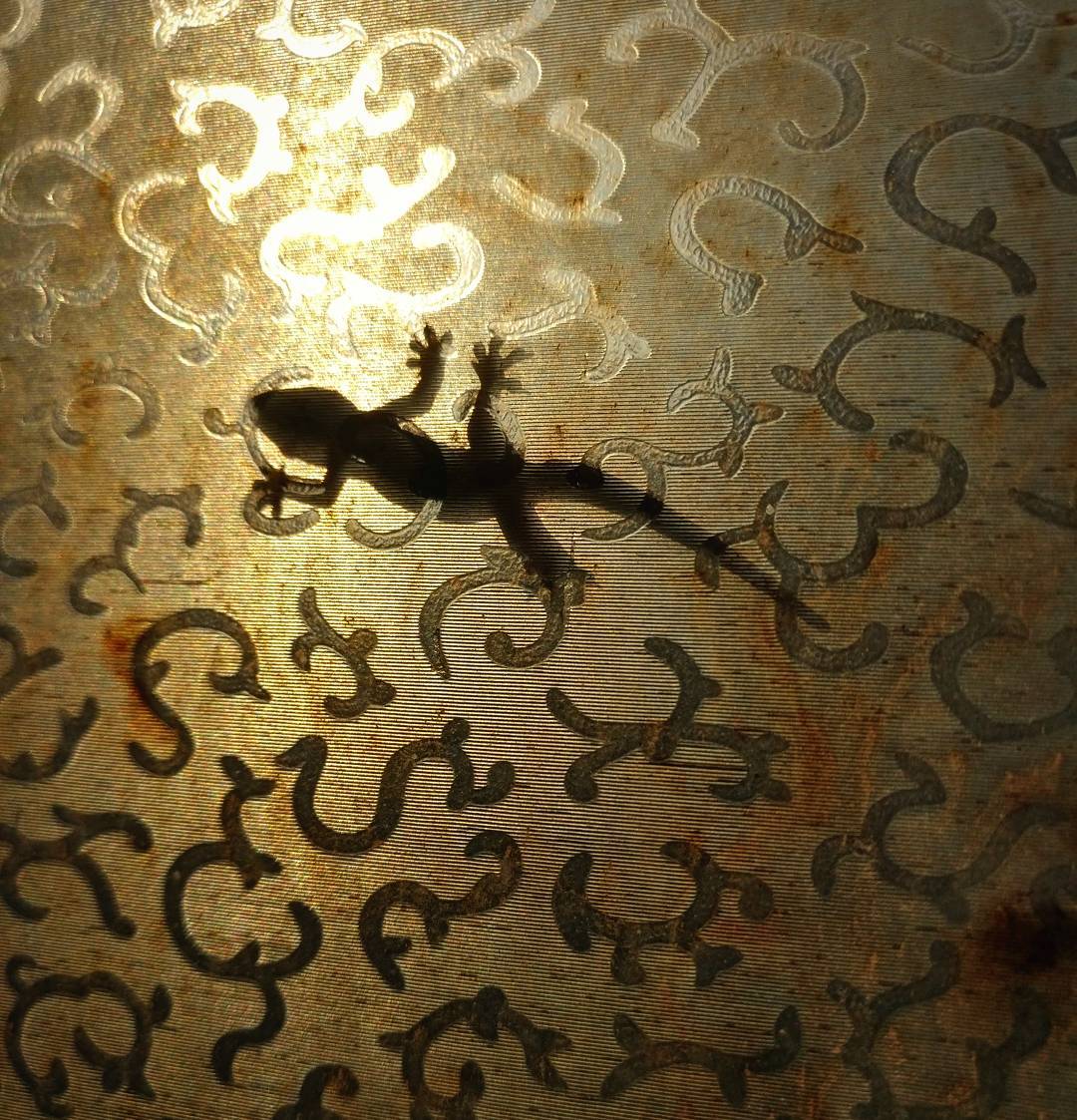 Gecko on Window