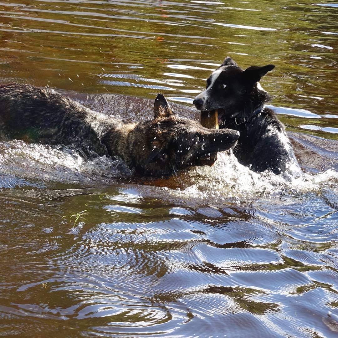 Water Fight